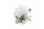 1f9a34b84643bc0f23e403daf095