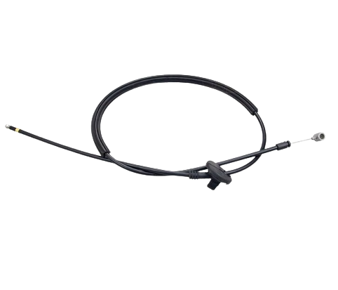 image-removebg-preview - 2021-05-27T080936.394.png